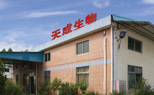 廠房展示