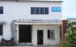 廠區(qū)一角